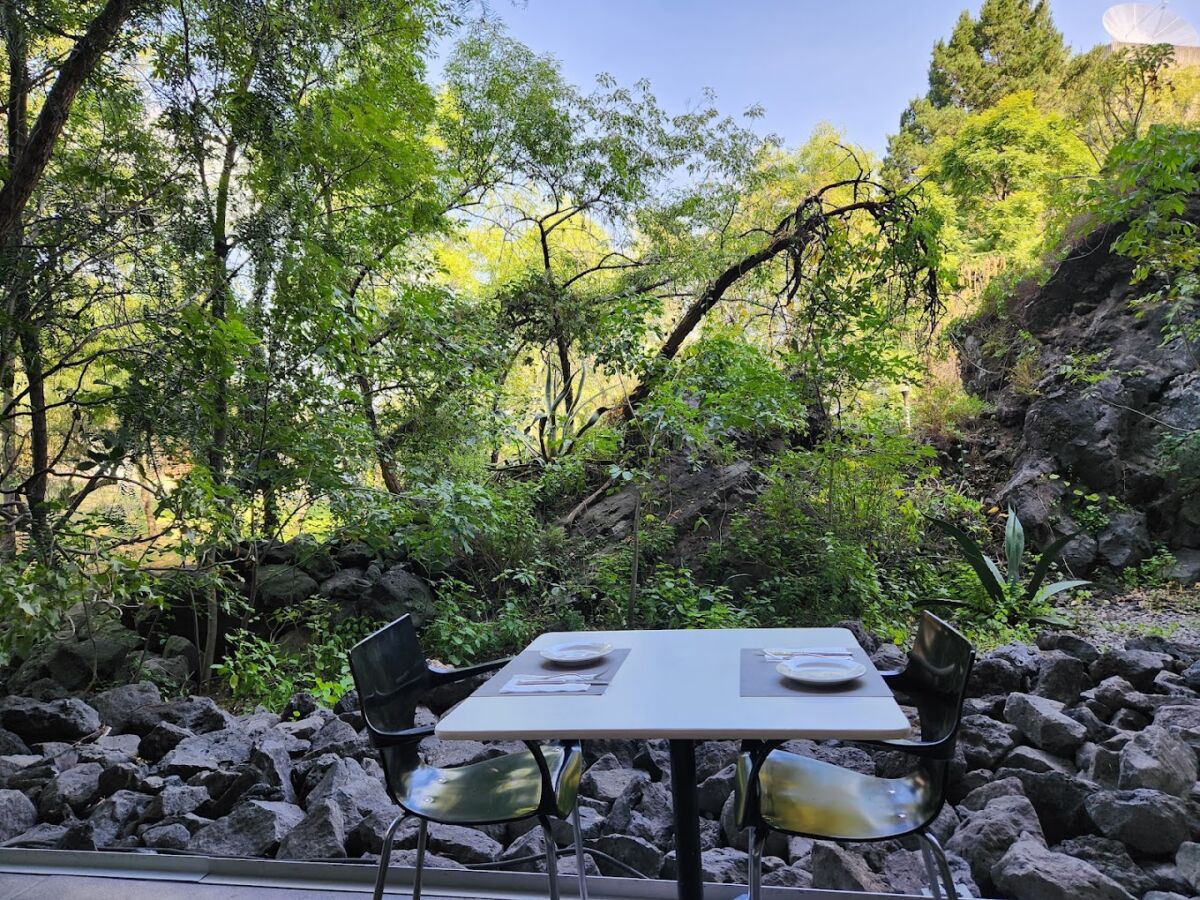 Nube Siete es el restaurante del MUAC 