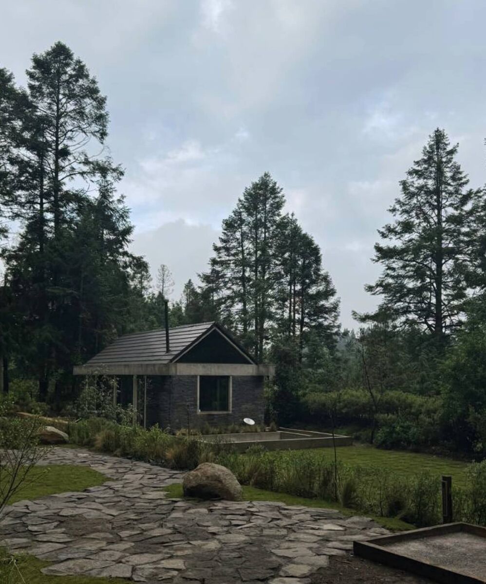 El verdadero lujo no solo es vivir en el bosque, sino conectar con la naturaleza en el día a día