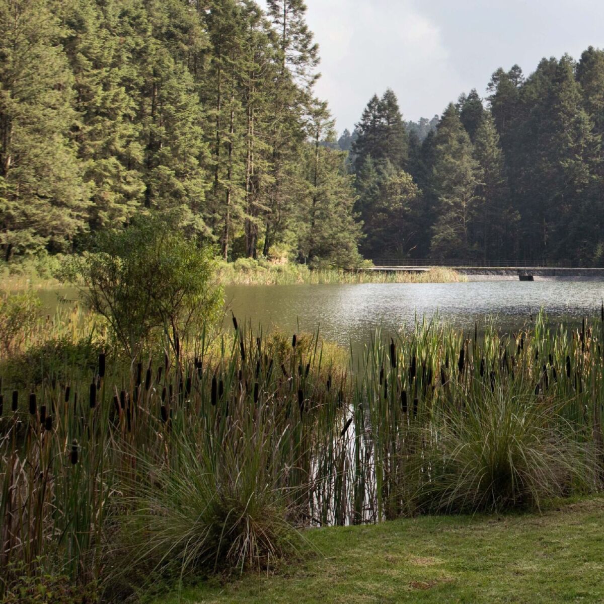 lago reserva Santa Fe