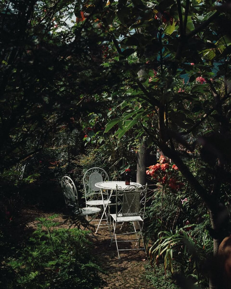 Margarita Concept Garden