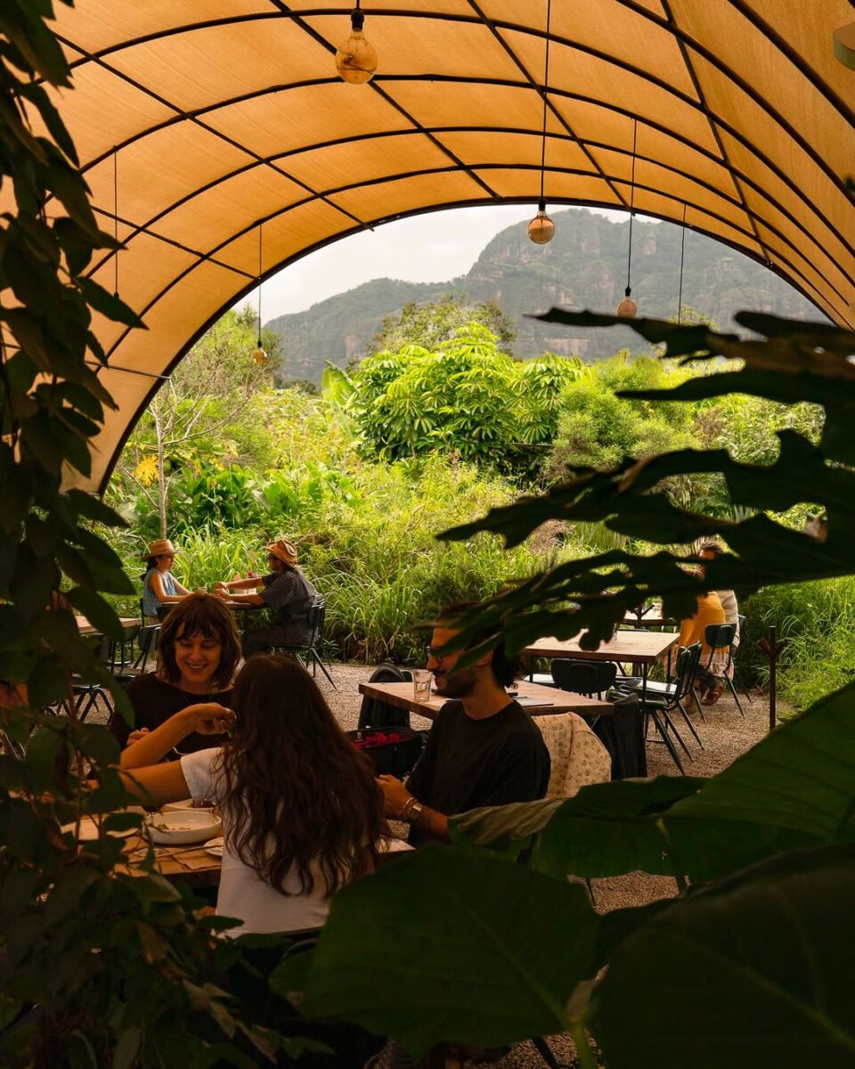 Parcela, un restaurante vegetariano en el Pueblo Mágico de Tepoztlan 