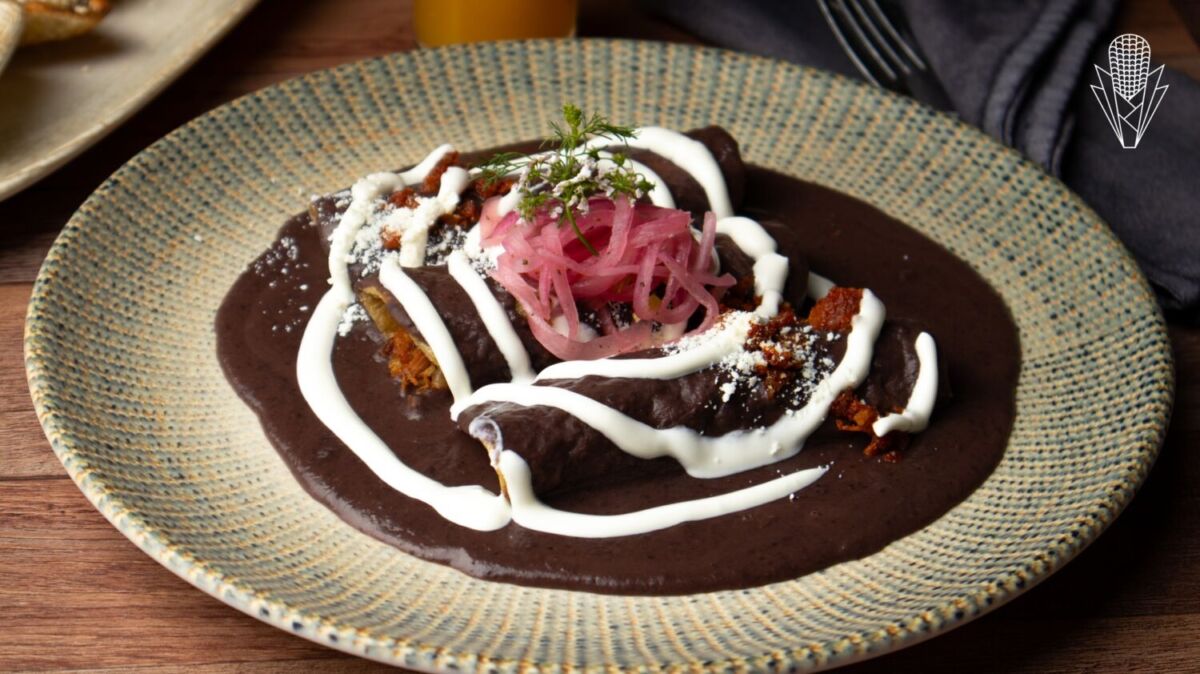 Enfrijoladas de Cochinita