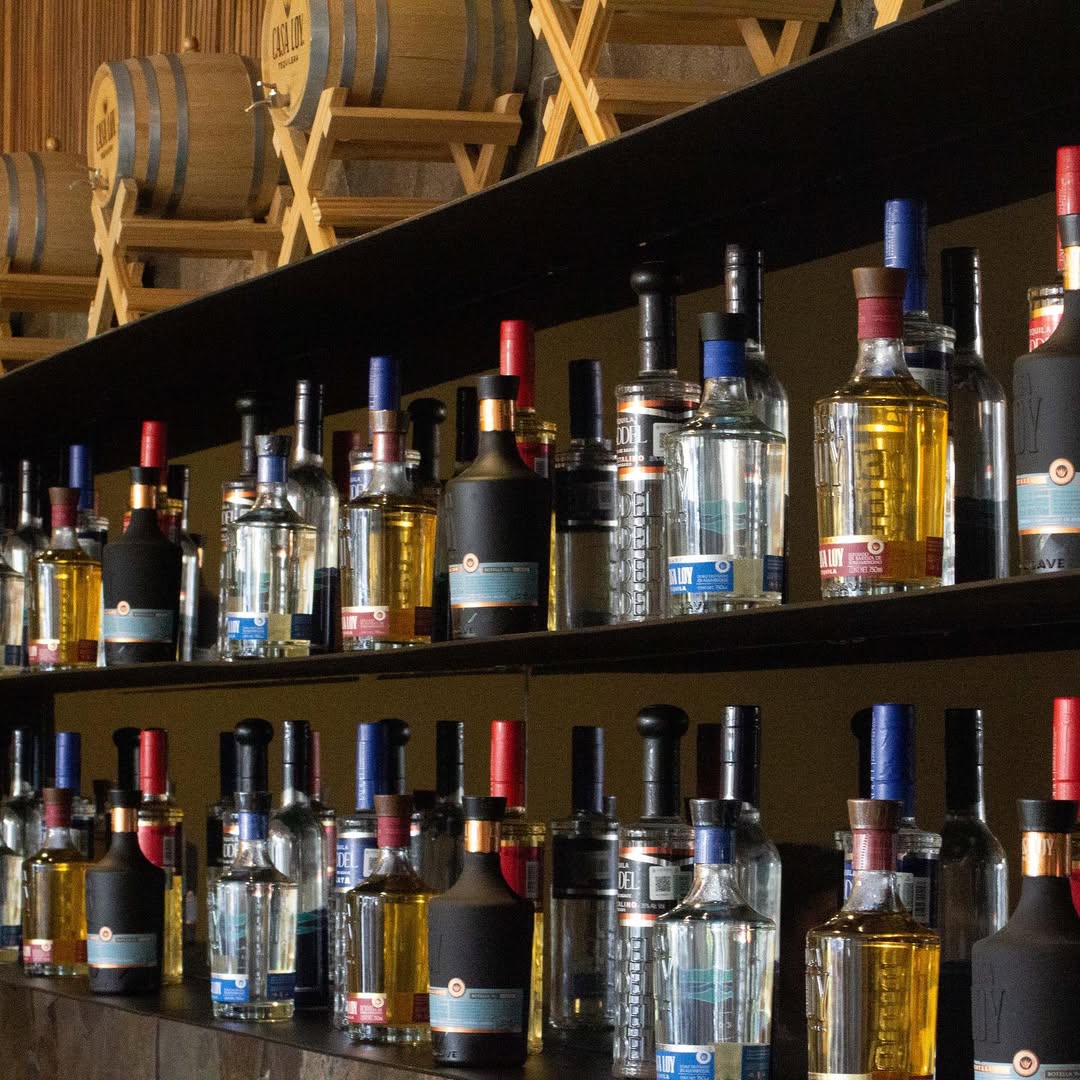 tequilas en casa loy