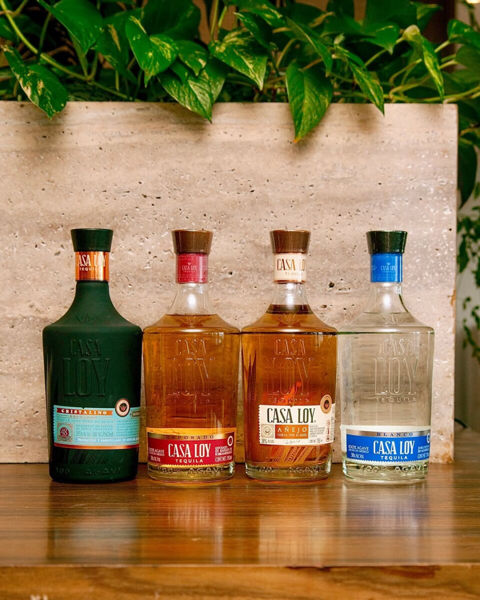 tequila casa loy