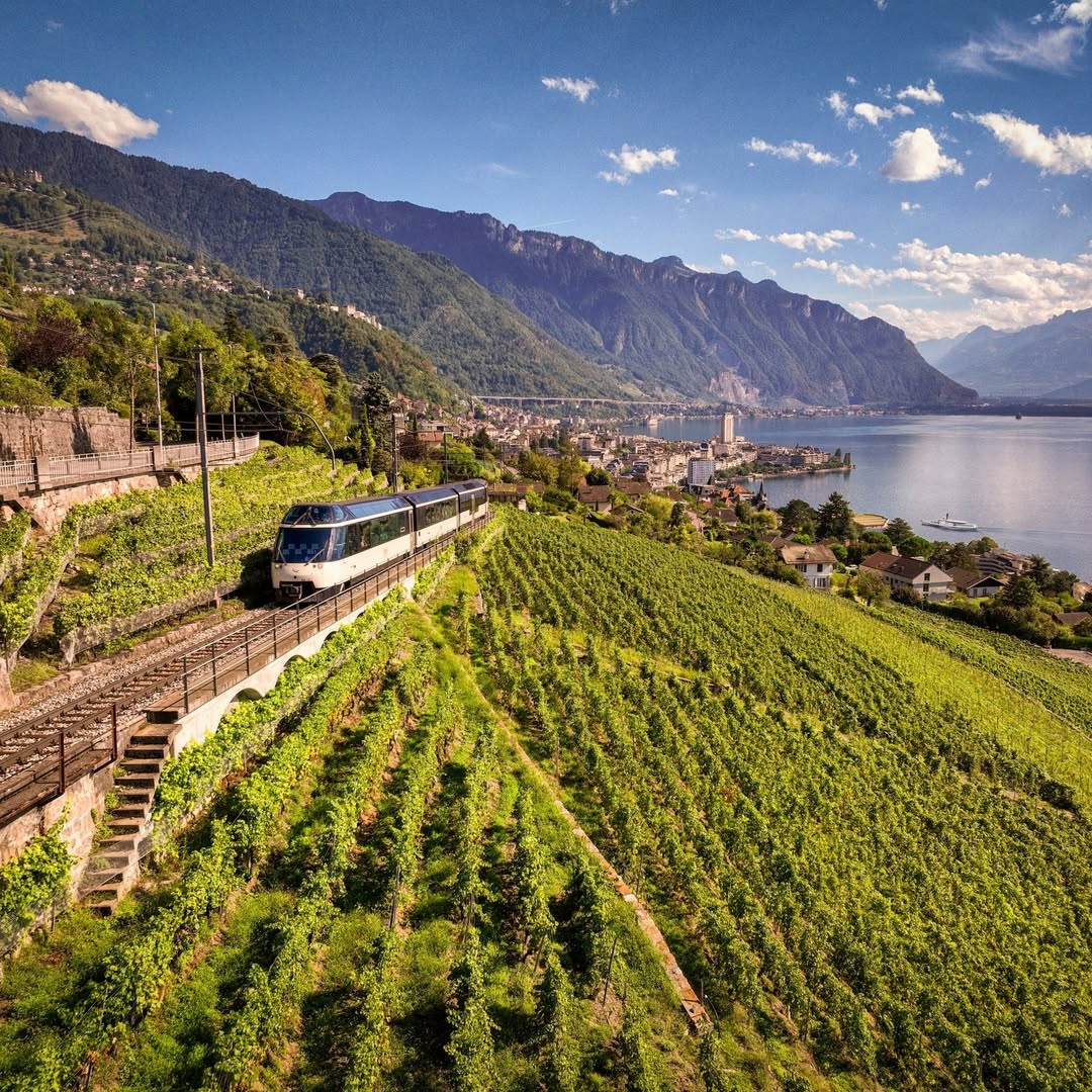 Tren de lujo en Suiza 