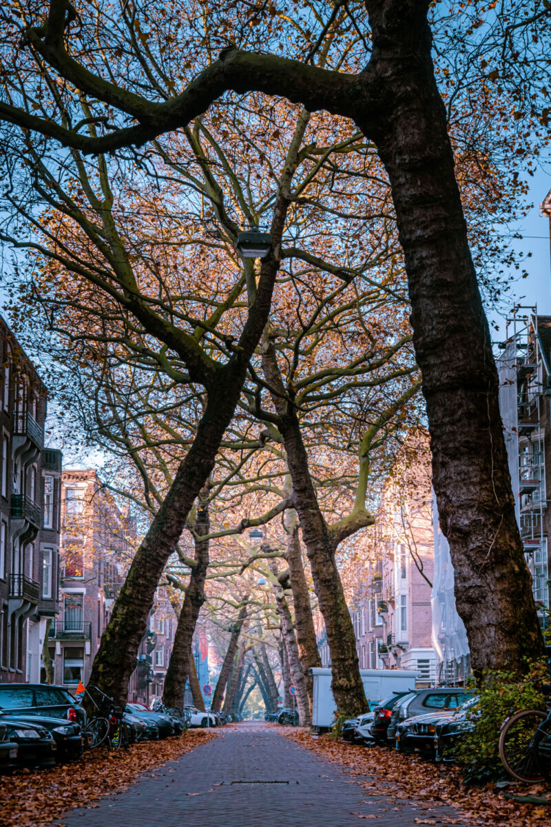 Lomanstraat es una calle en el barrio de Oud-West ubicada en Países Bajos 