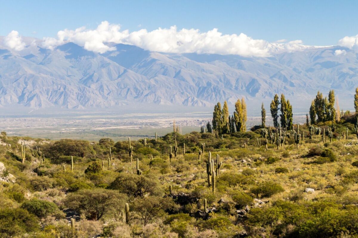 Amaicha del Valle