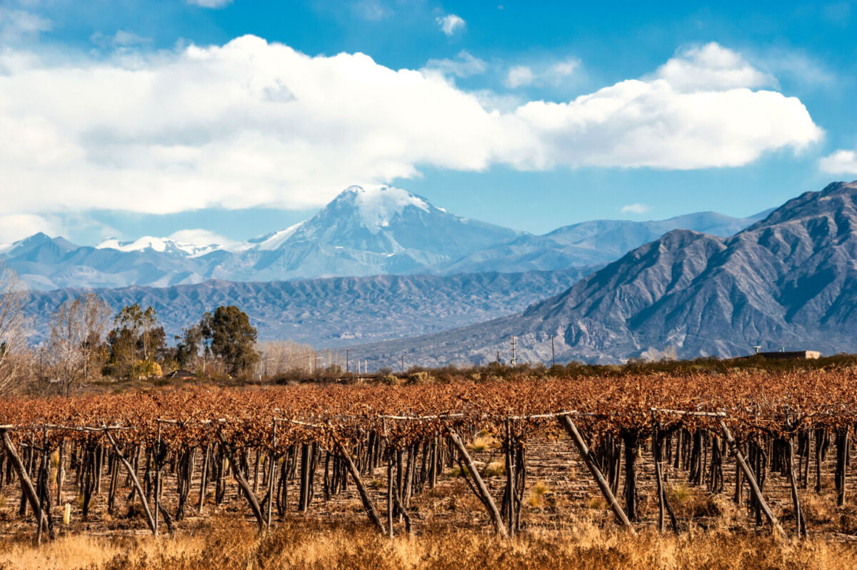Patagonia