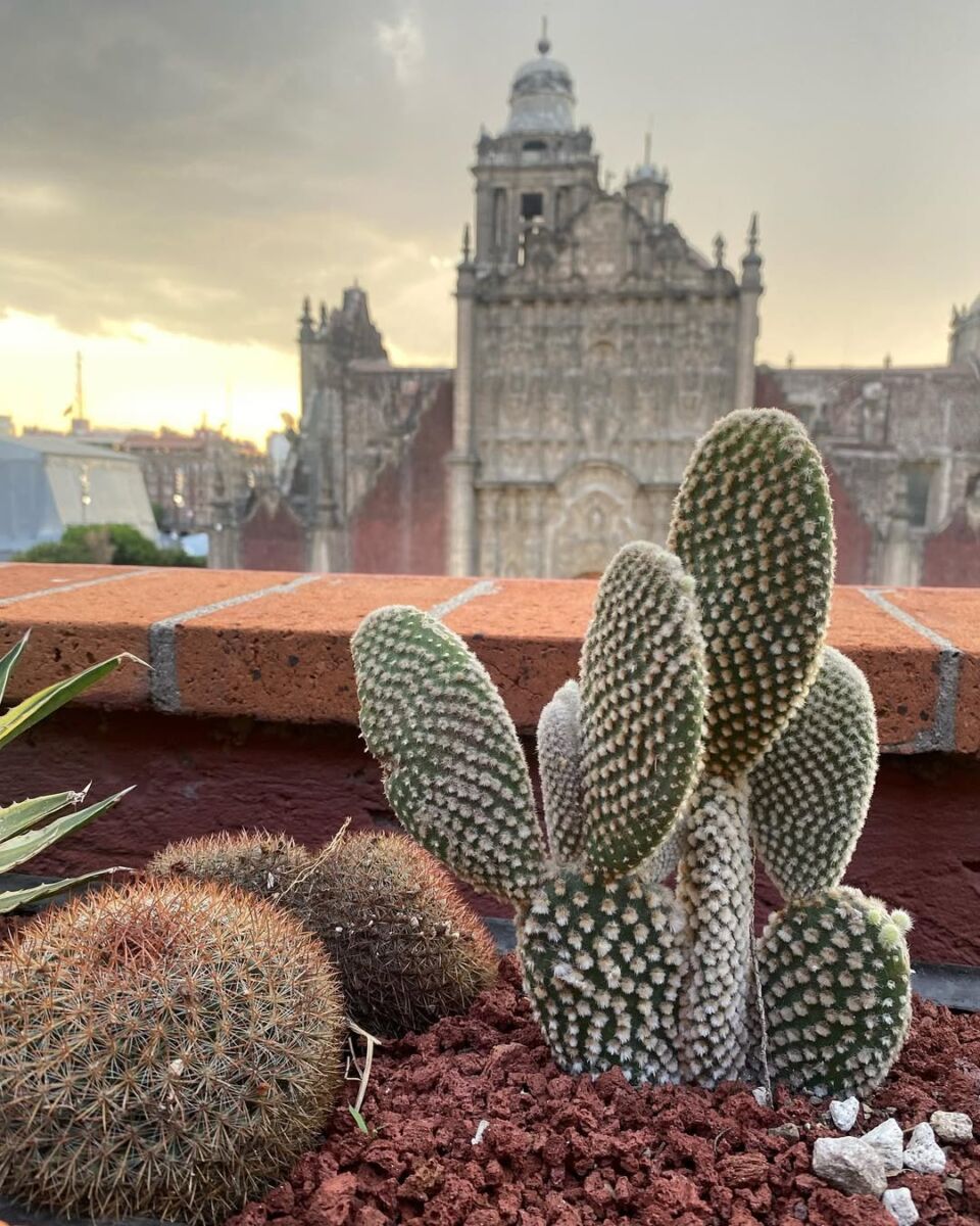 Vistas del sagrario de la Catedral
