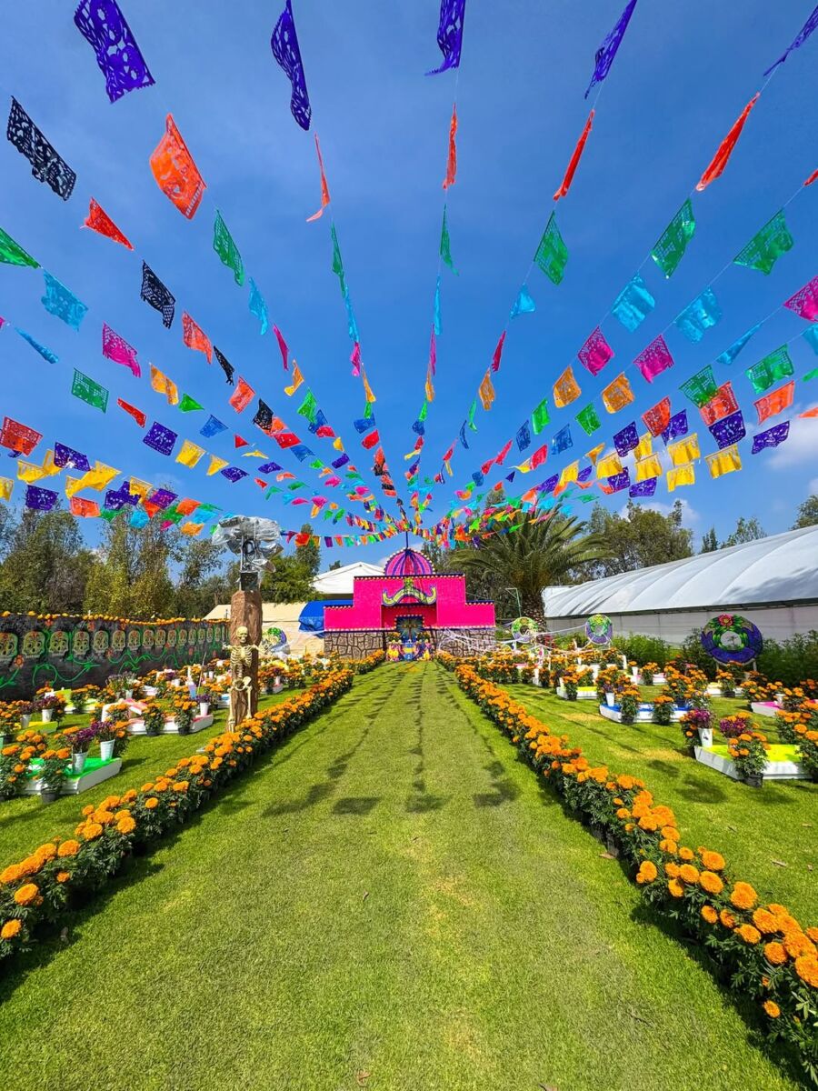 Ruta del Cempasúchil en Xochimilco