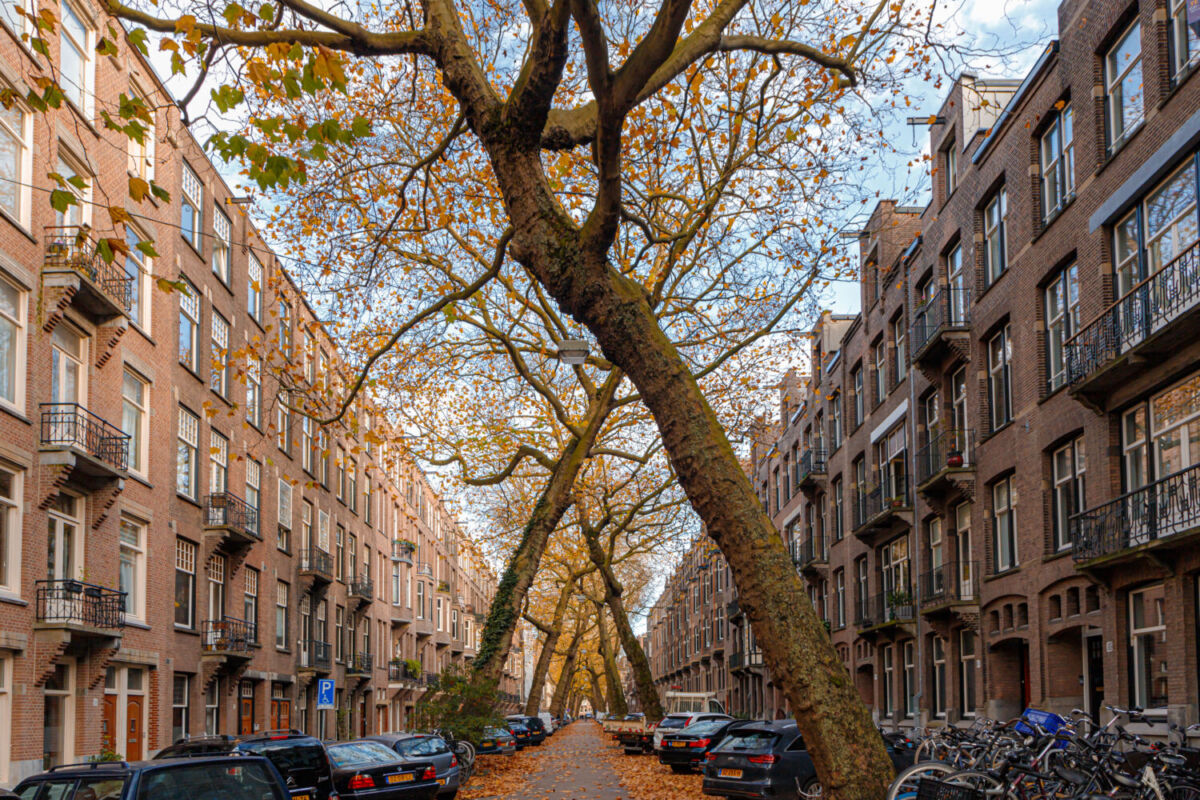 La  calle de Lomanstraat ubicada en el barrio de Oud-West, una zona residencial de los Países Bajos