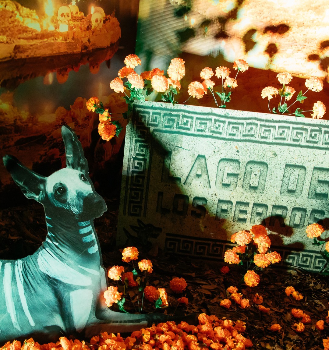 festejos día de muertos en monterrey