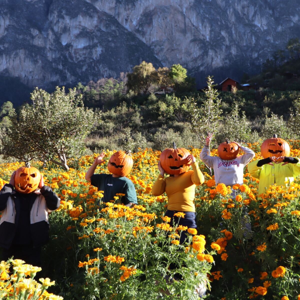No solo la CDMX: estas otras ciudades en México tendrán increíbles festejos del Día de Muertos