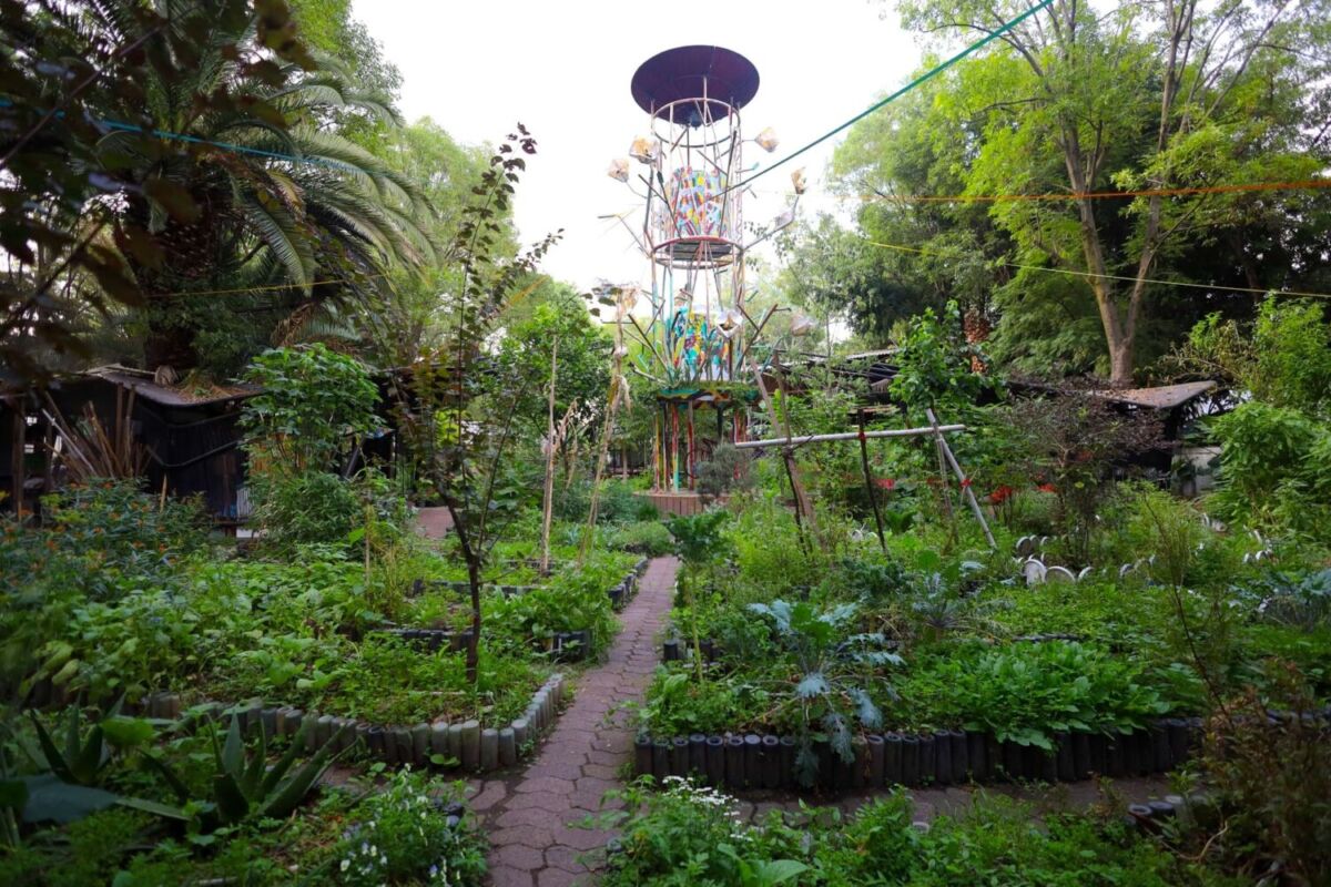 La colonia Roma sigue guardando secretos, como este rinconcito verde con huertos, talleres y un restaurante agroecológico