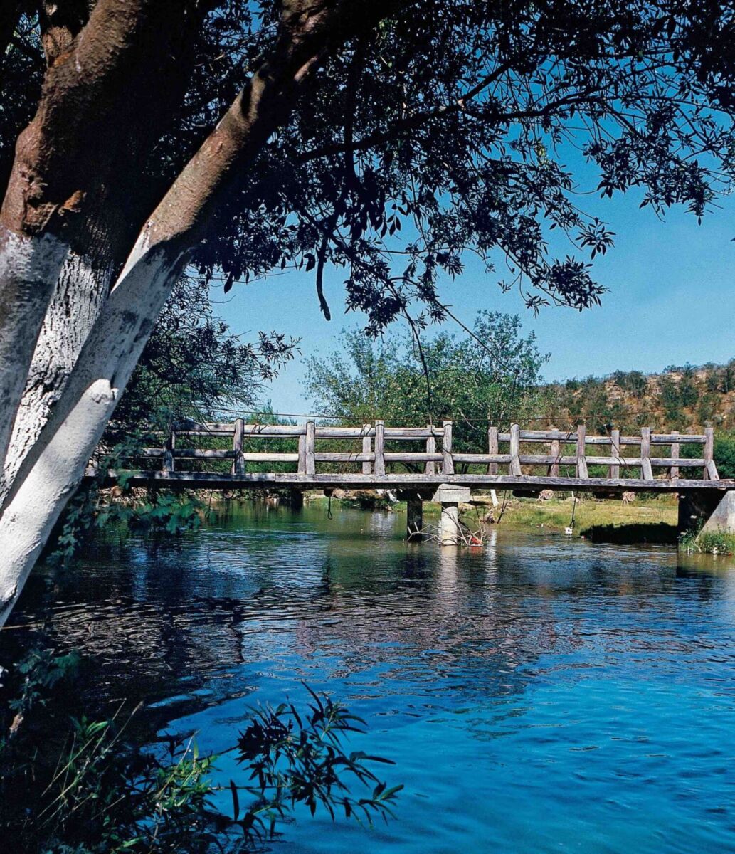 alrededores de los ríos Bravo, Álamo y San Juan