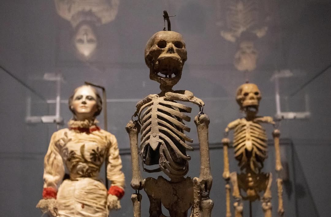 museos con altares de día de muertos