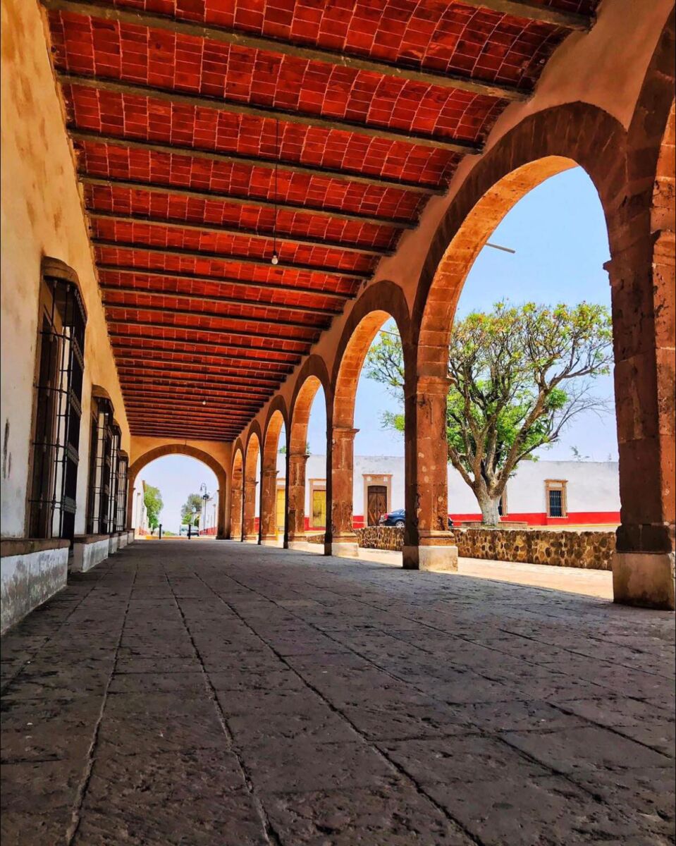 Nopala de Villagrán