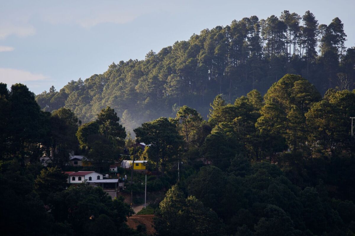 Cabañas, temazcal y senderismo en este bello pueblo oaxaqueña rodeado de montañas 