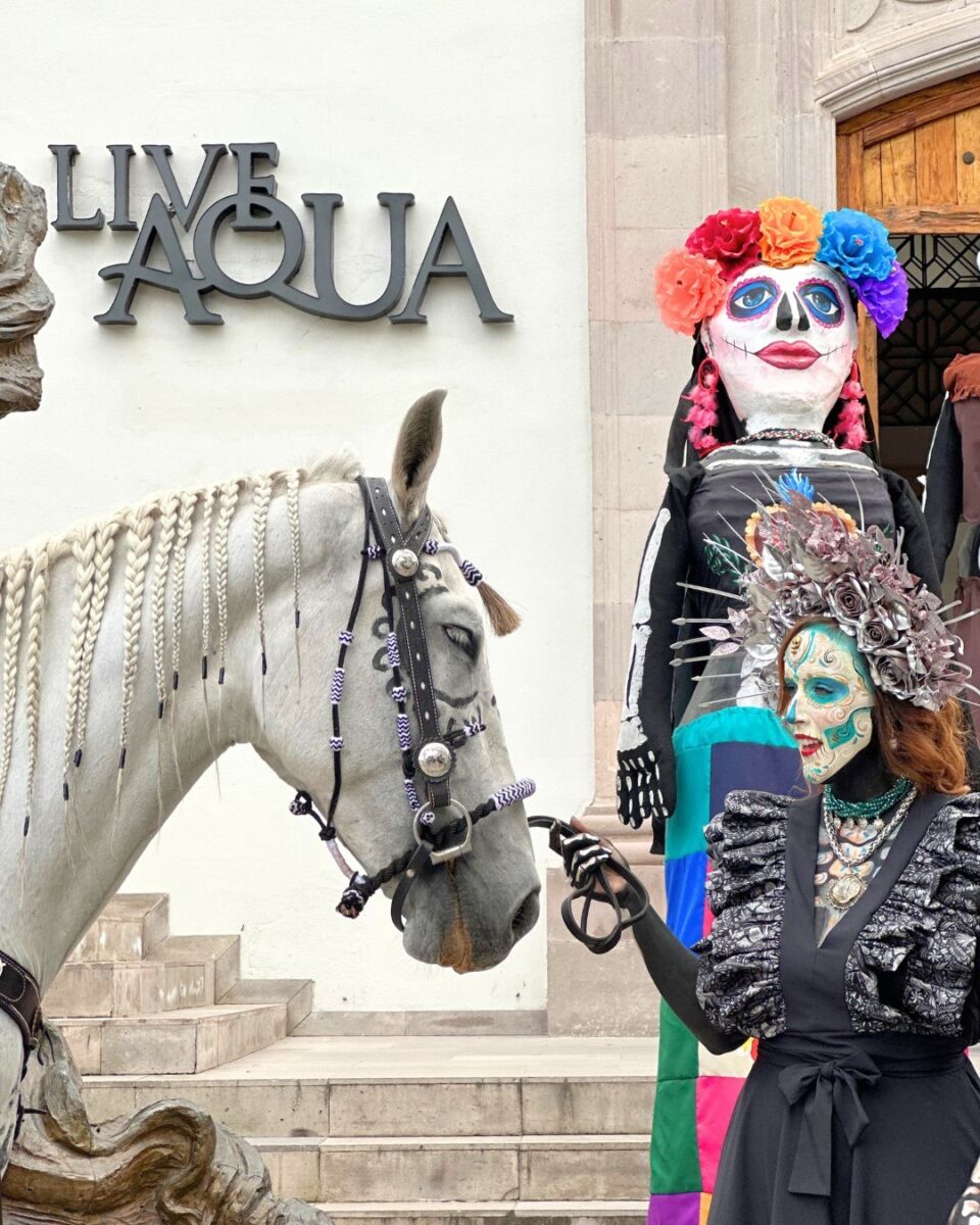 La chef Lula Martín del Campo ofrecerá una cena maridaje con Tequila Reserva de la Familia 