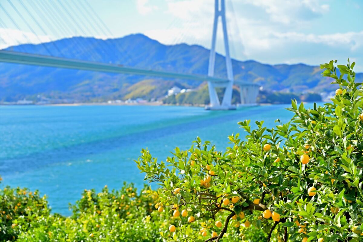 Se dice que esta isla en Japón huele a limón, es perfeta para ciclistas, casi no hay turistas y sus templos son bellísimos