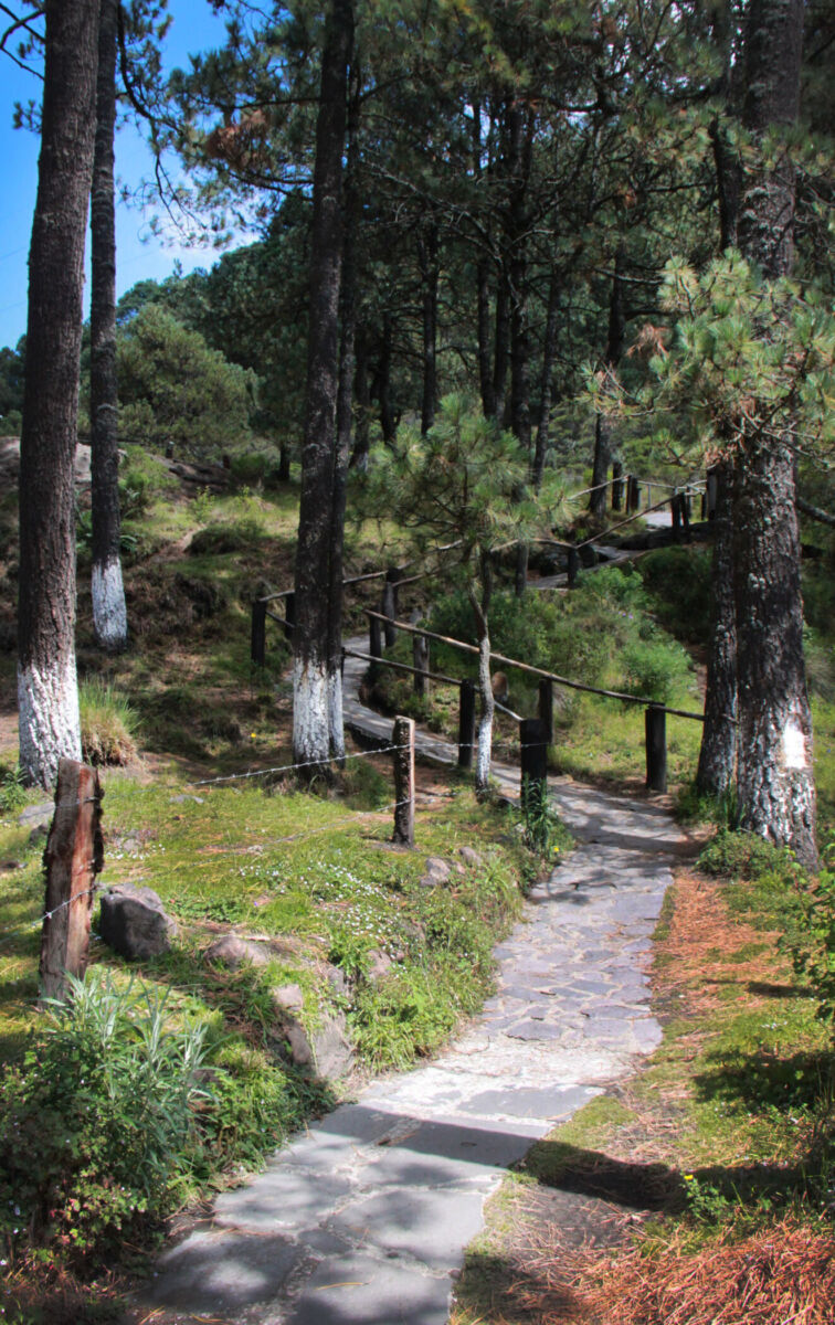 Foto: Villa Ecoturística La Venta