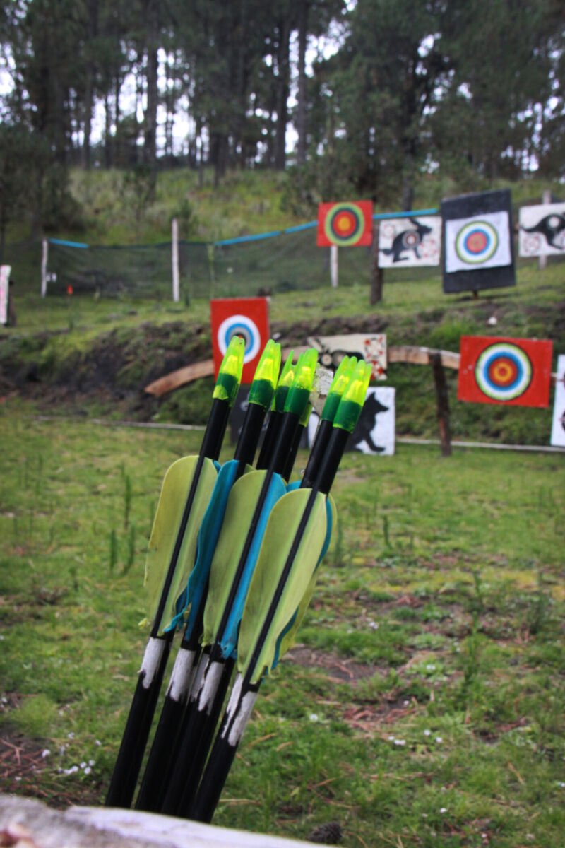 practica tu puntería en el tiro con arco o tiro táctico