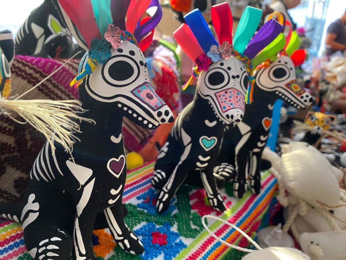 Actividades para despedirse de seres queridos y mascotas