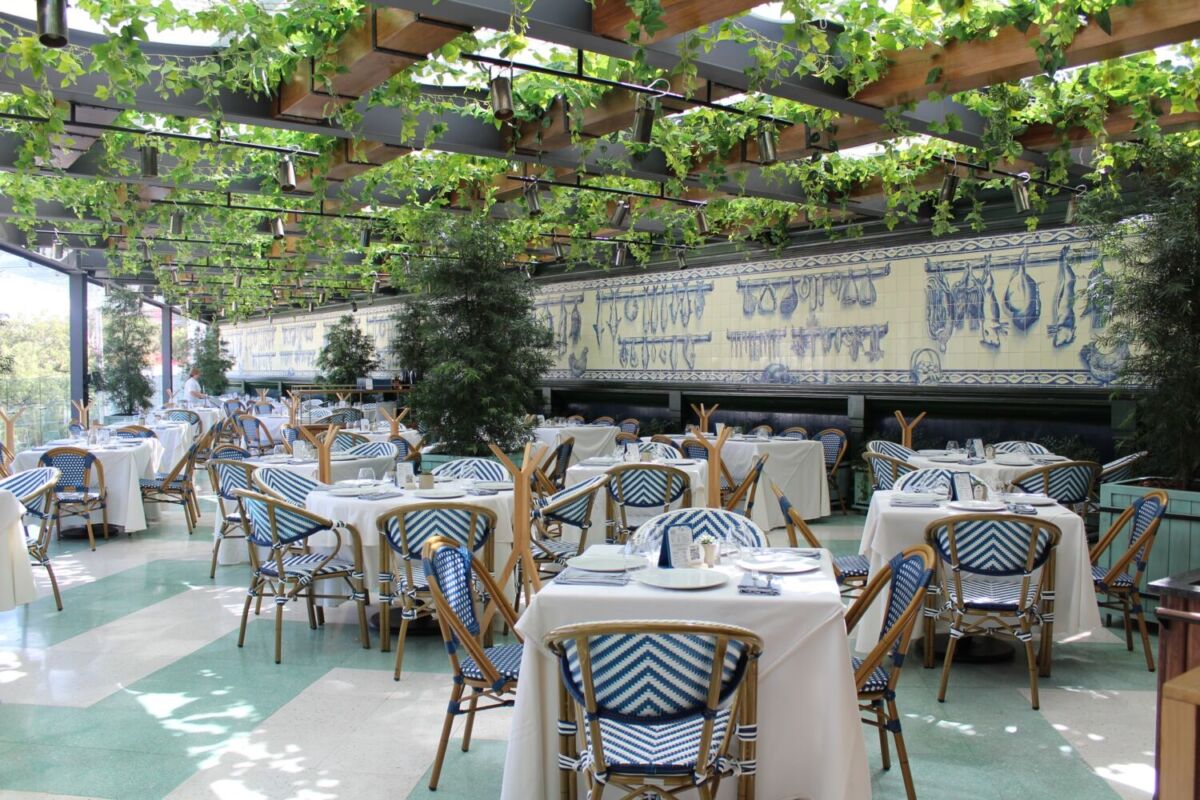 terraza alesia pedregal