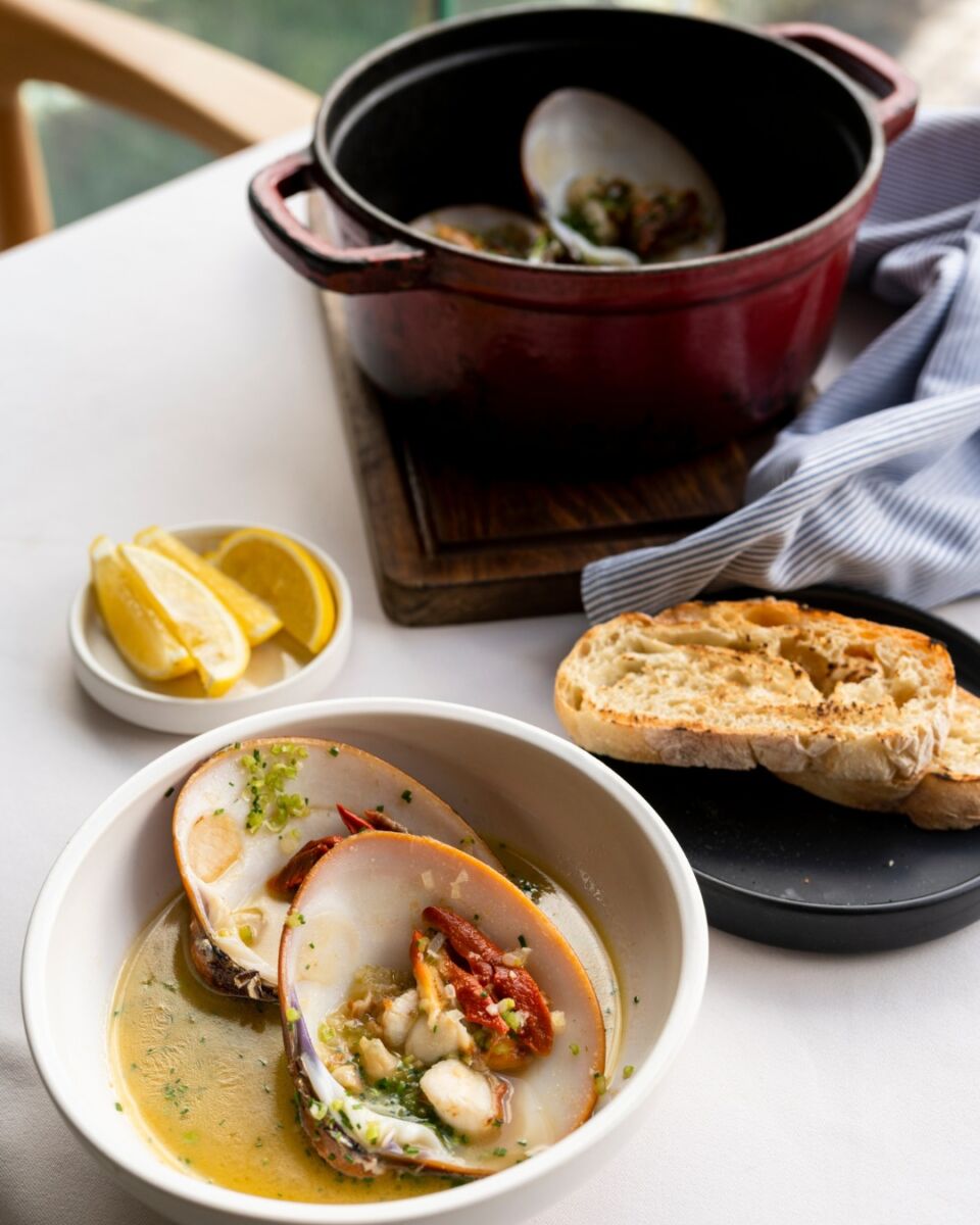 almejas alesia pedregal