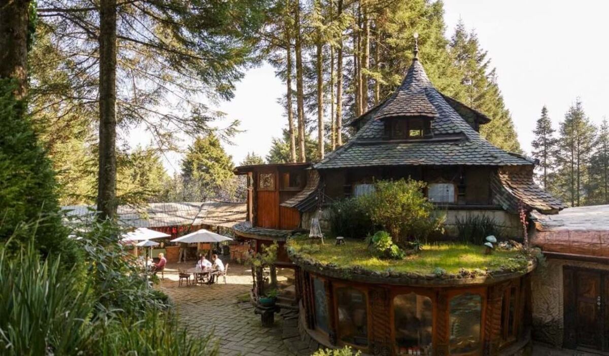 Hospedaje en medio del bosque a las afueras de la CDMX (como salido de un cuento de fantasía)