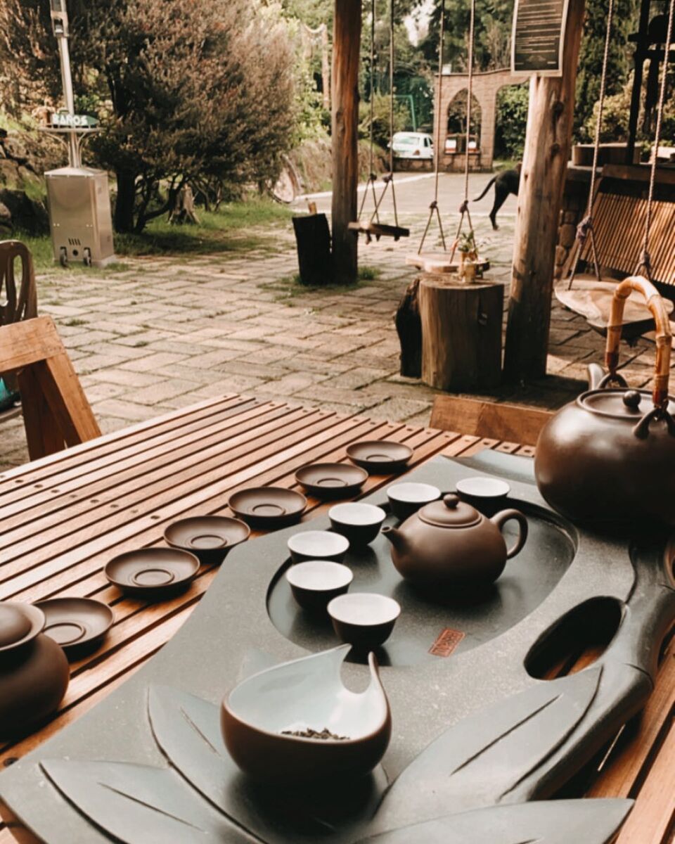 actividades especiales como la ceremonia del té