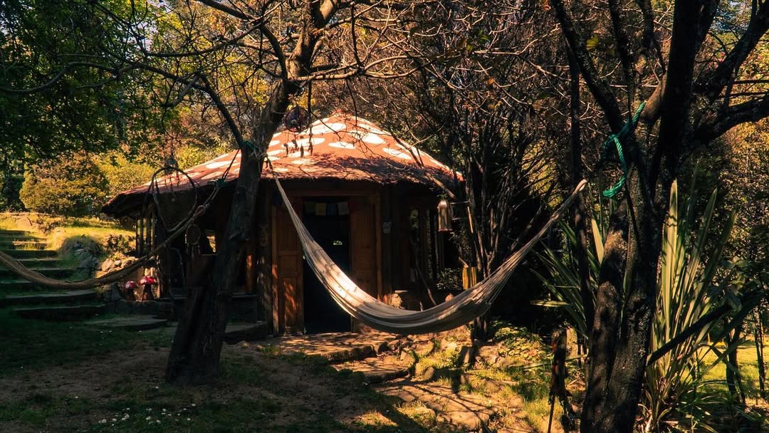 estancia en medio del bosque, boxque teva como salido de un cuento de fantasía