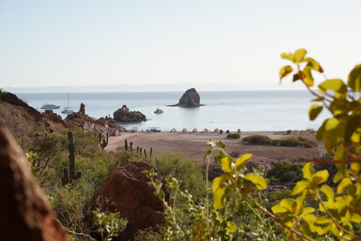 Glamping Camp Cecil es un campamento de lujo en la Isla Espíritu Santo 