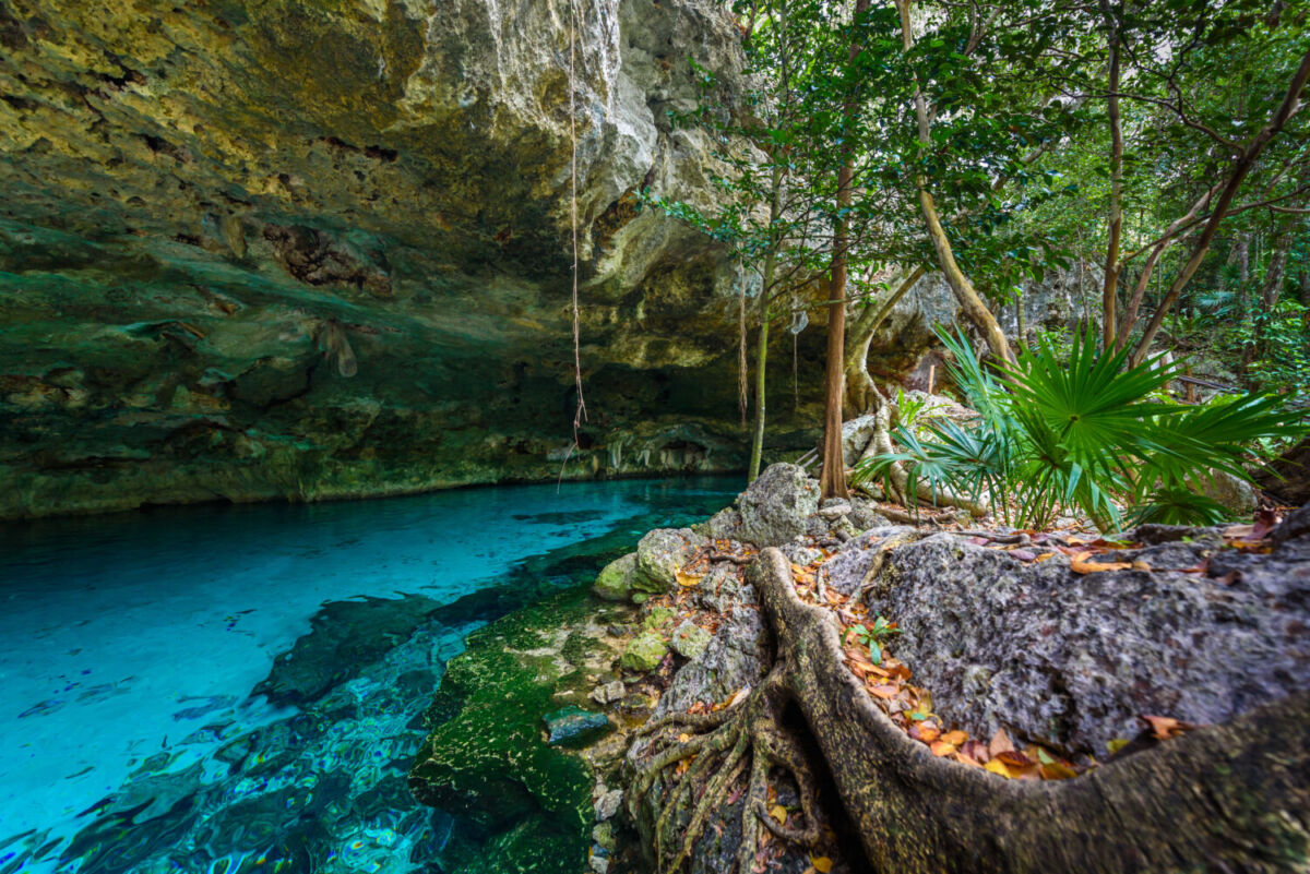 El Cenote Dos Ojos es el mejor lugar para bucear en Tulum 