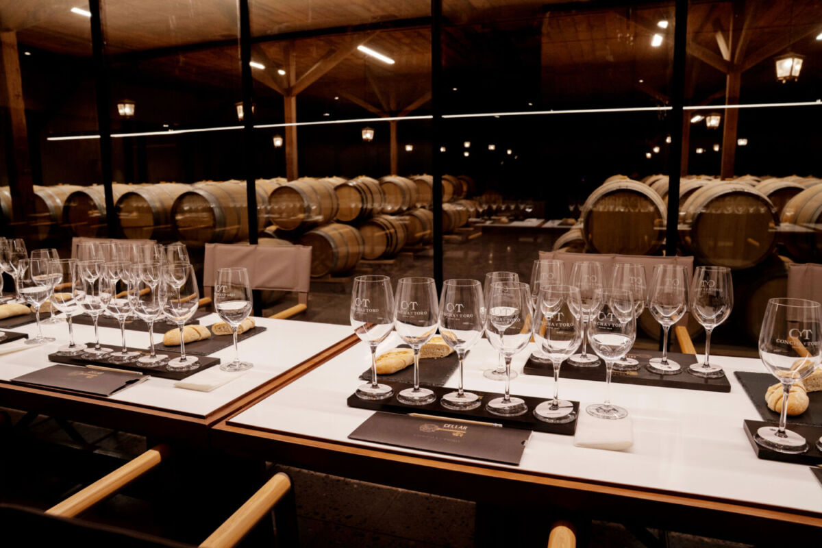 Centro del Vino Concha y Toro