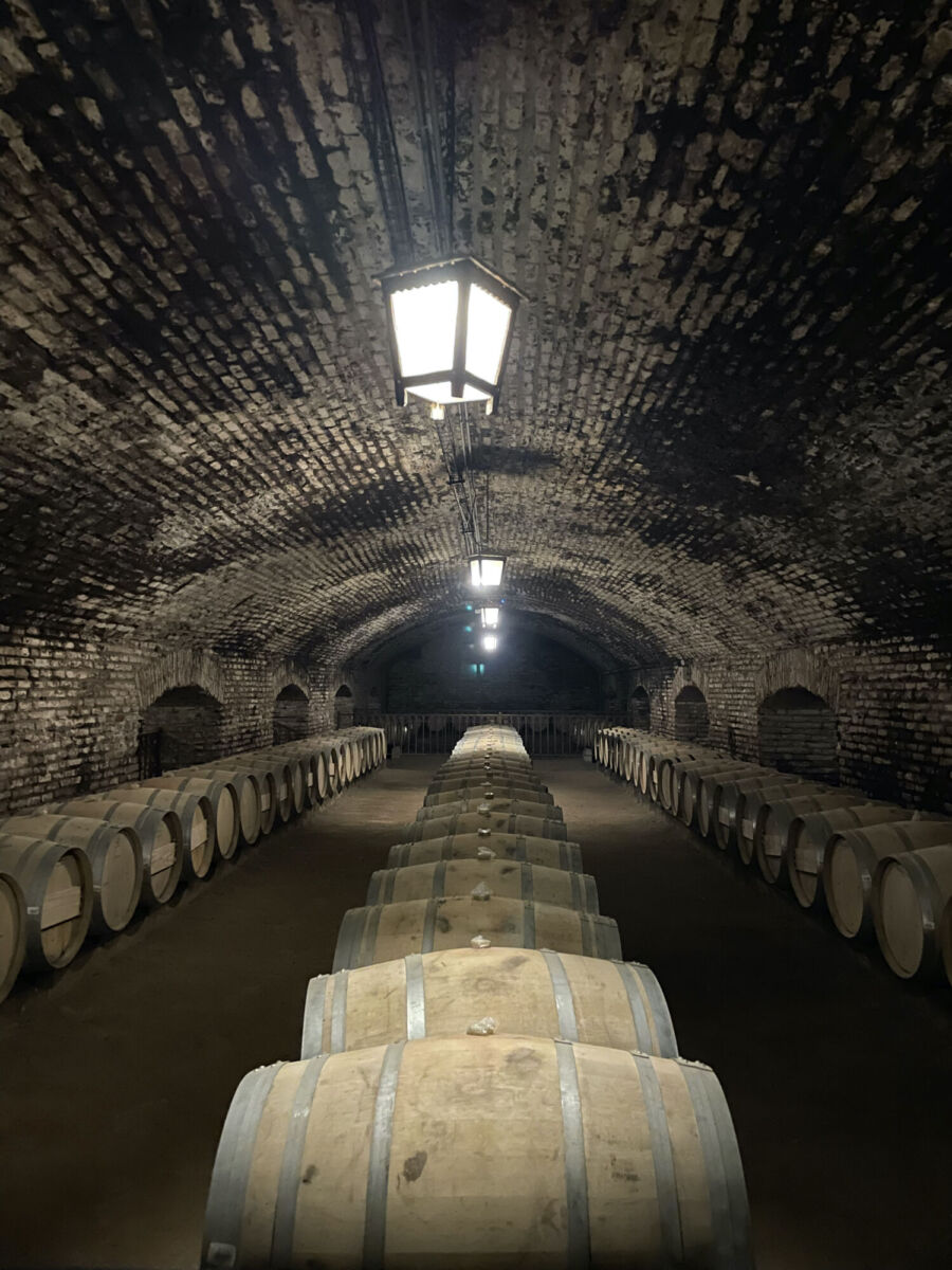 Centro del Vino Concha y Toro