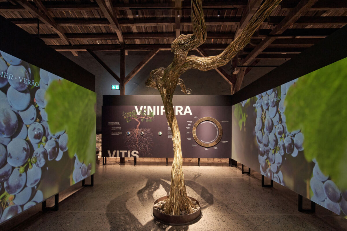 Centro del Vino Concha y Toro