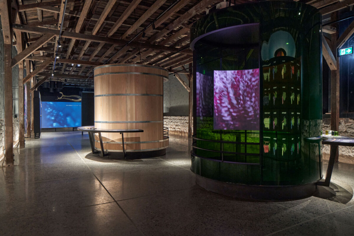 Centro del Vino Concha y Toro