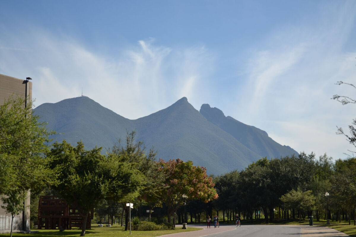 Su nombre se debe a que parece una silla de montar 