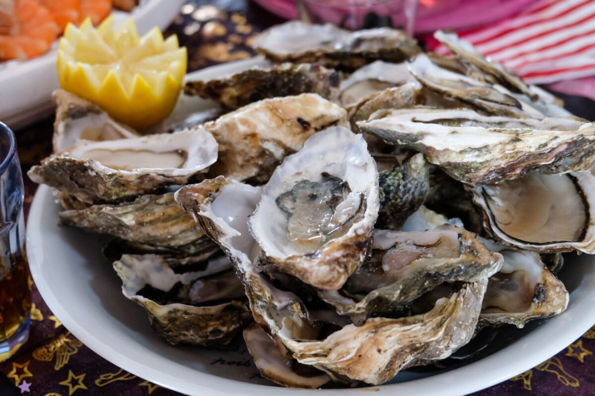 En Campeche la alimentación básica proviene de los pescados y mariscos 