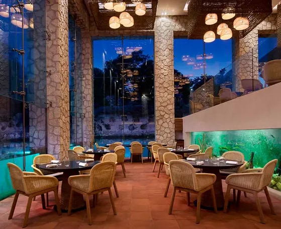 Xaak es un restaurante culinario liderado por cuatro chefs reconocidos: Roberto Solís, Paco Méndez, Jonatán Gómez Luna y Alejandro Ruiz