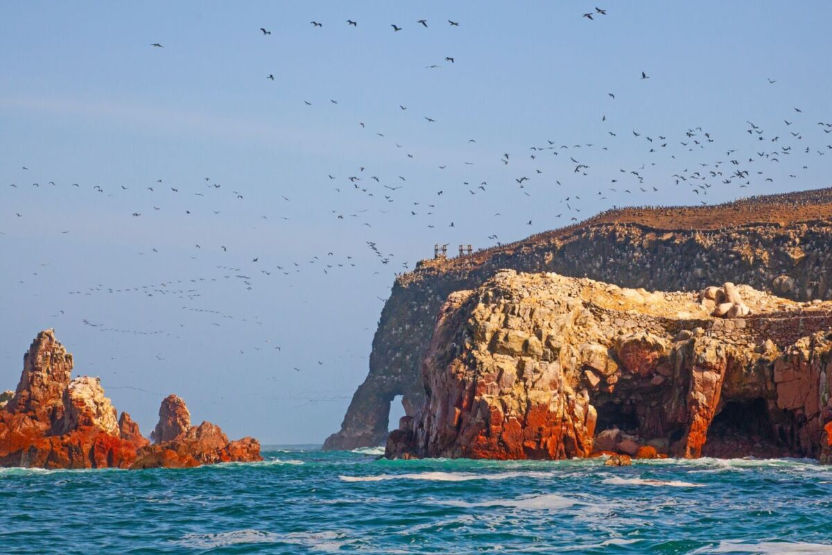 Reserva Nacional de Paracas
