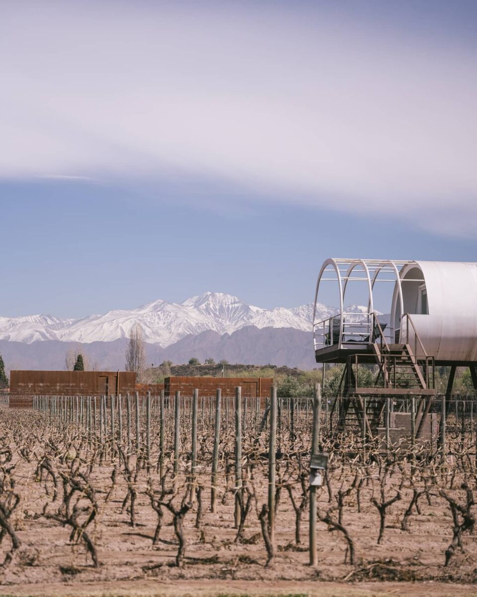 En este hotel en medio de los viñedos de Mendoza hay tratamientos de spa para sumergirte en vino