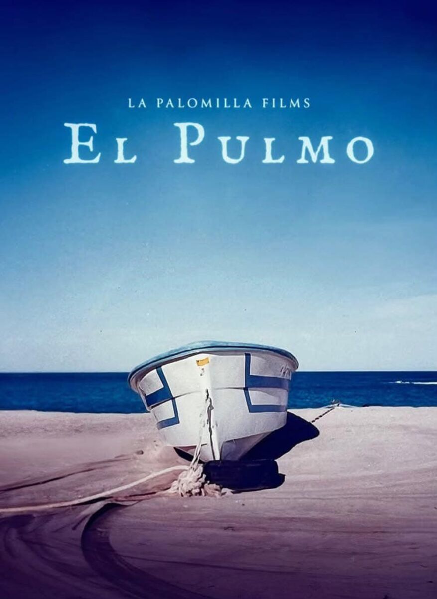 Festival Internacional de Cine de Los Cabos