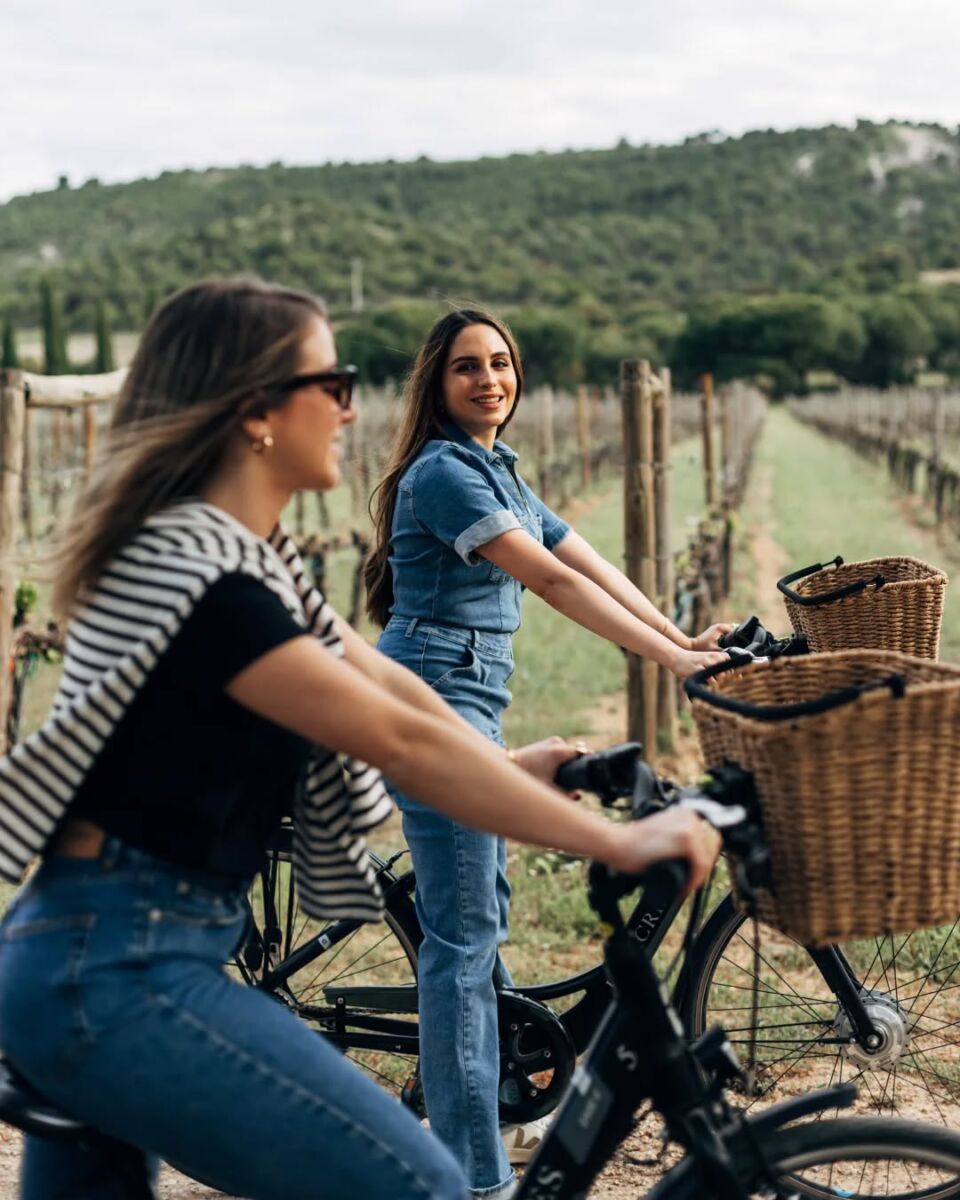 Paseo en bicicleta por el viñedo finca villacreces