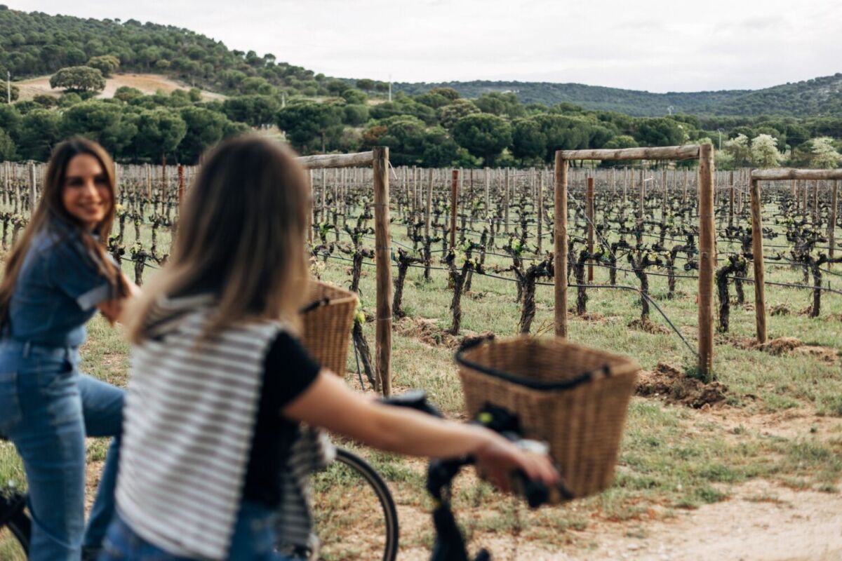 Paseos en bicicleta y picnics en un viñedo: estas son algunas de las experiencias de enoturismo que puedes vivir en esta bodega en Ribera del Duero