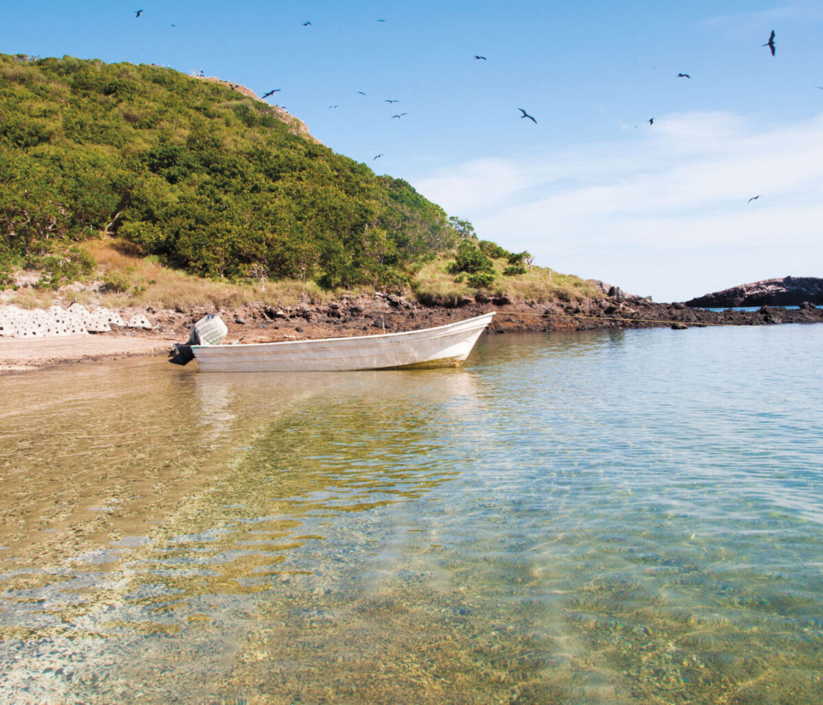Isla Isabel