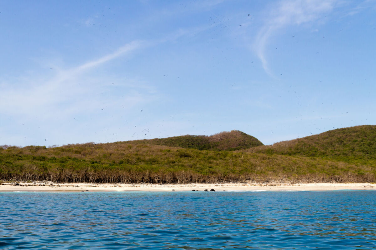 Isla Isabel
