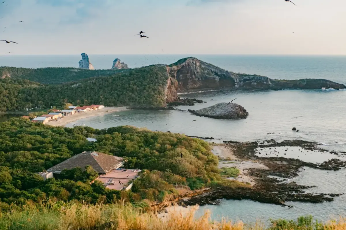 Isla Isabel en Nayarit