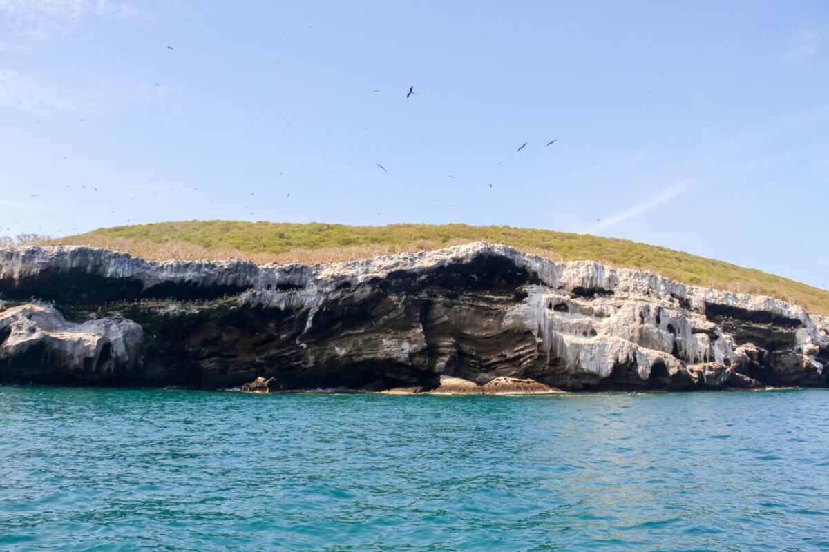 Isla Isabel en Nayarit